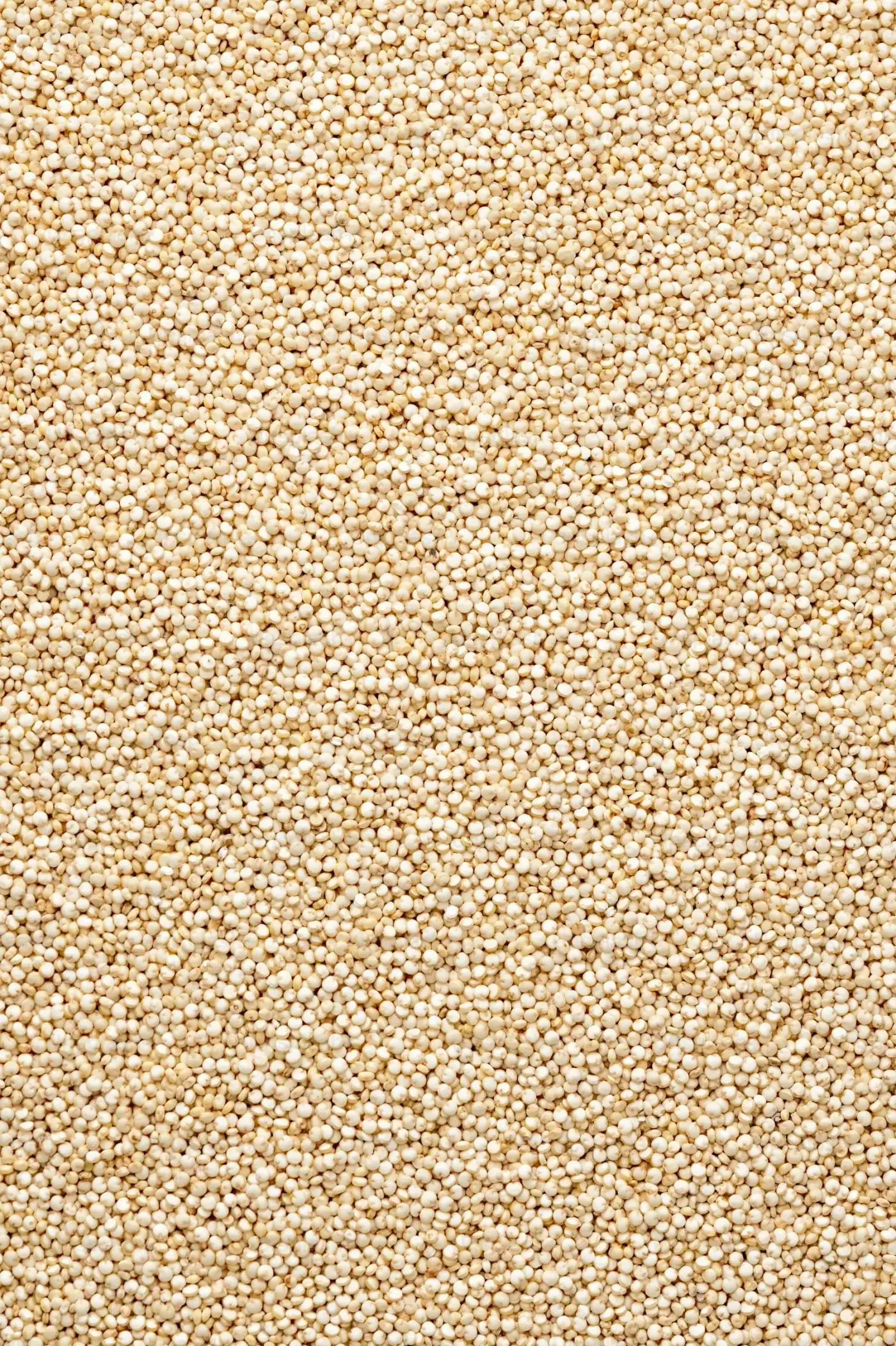 Chia seeds from Port Royal Mills
