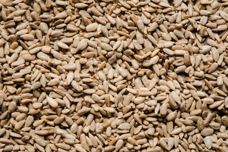 Sunflower seeds